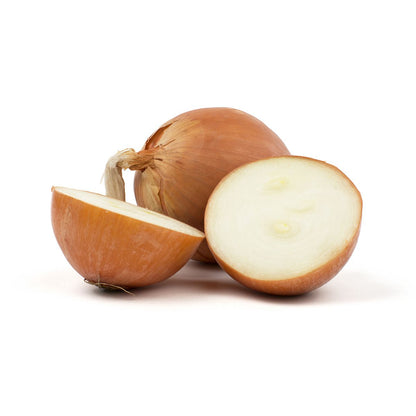 Wholesale BoxNCase Spanish Onions- Bulk