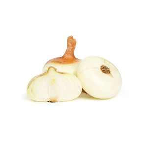 Wholesale BoxNCase Cippolini Onions-10 LB Bulk