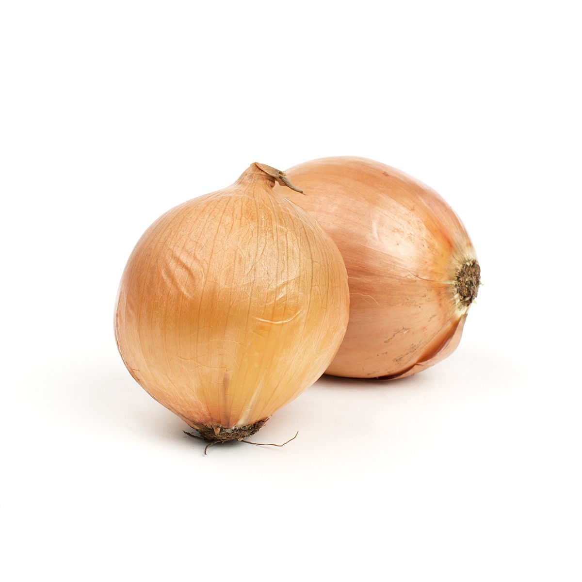 Wholesale BoxNCase Spanish Onions 10 Lb- Bulk