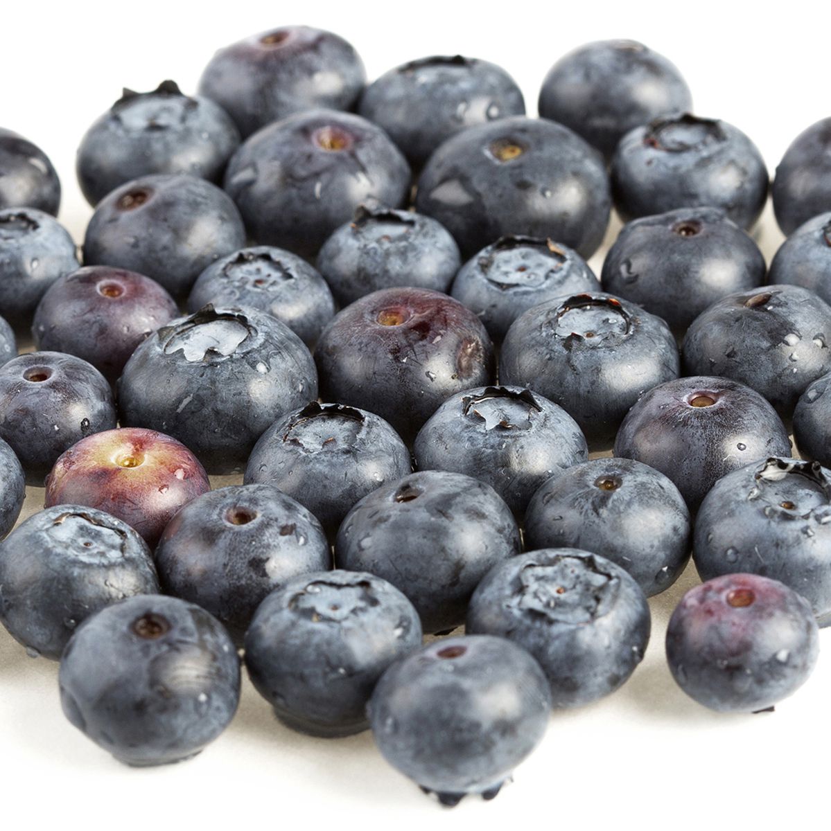 Wholesale Driscoll'S Organic Blueberries 1 PT-12ct Case Bulk