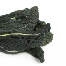 Wholesale BoxNCase Lacinato Kale- Bulk