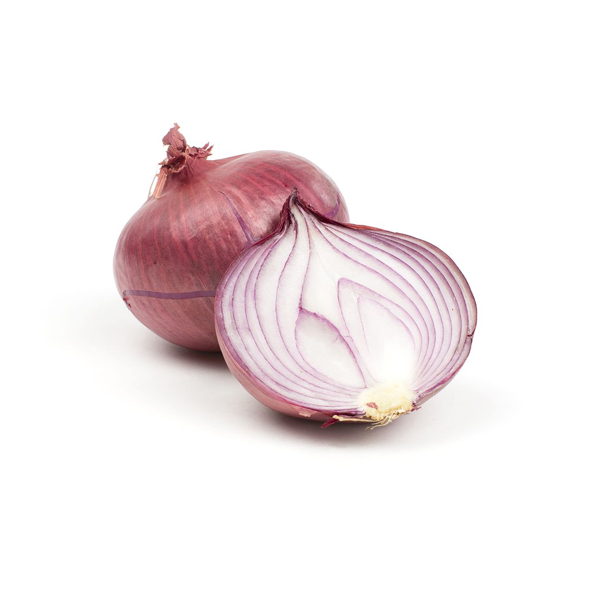 Wholesale lloyd All Natural Pickled Red Onions 16oz 10ct- Bulk