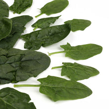 Wholesale County Line Harvest Organic Bloomsdale Spinach- Bulk