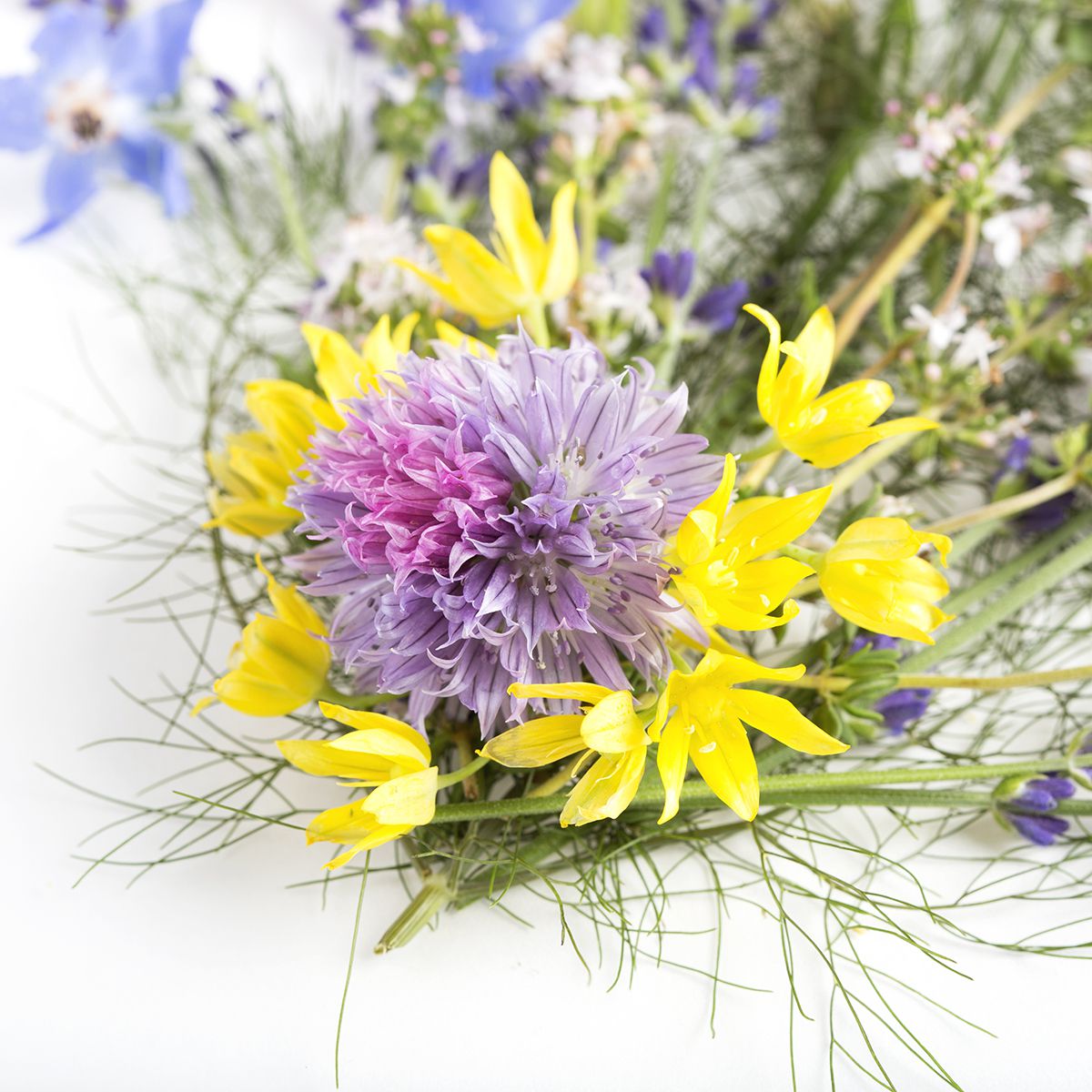 Eva'S Garden Edible Flower Mix