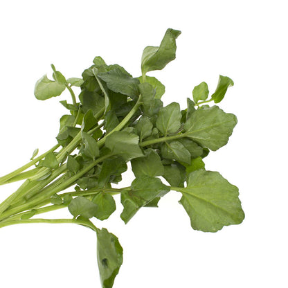 Wholesale B&W Bunched Watercress- Bulk