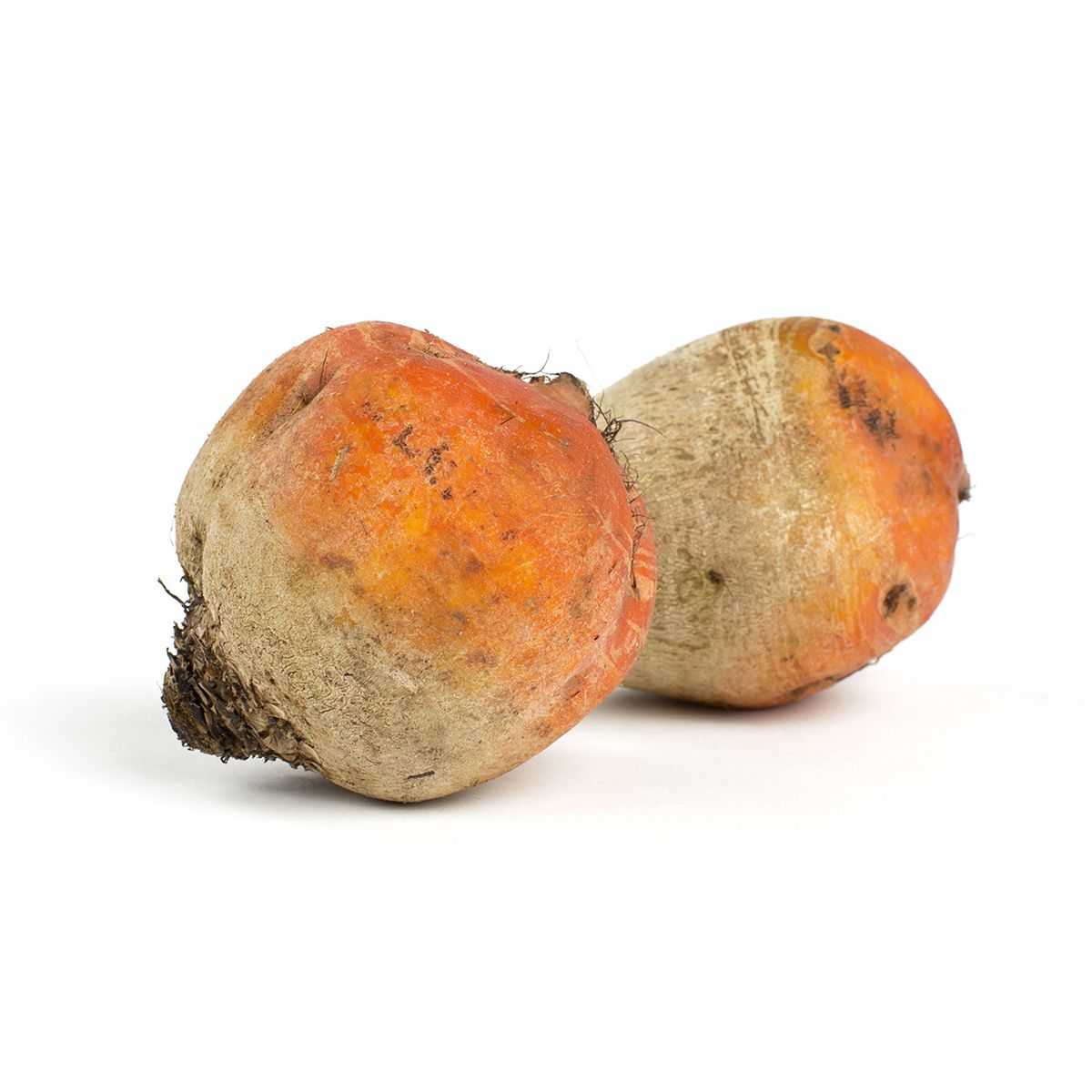 Wholesale BoxNCase Large Golden Beets- Bulk