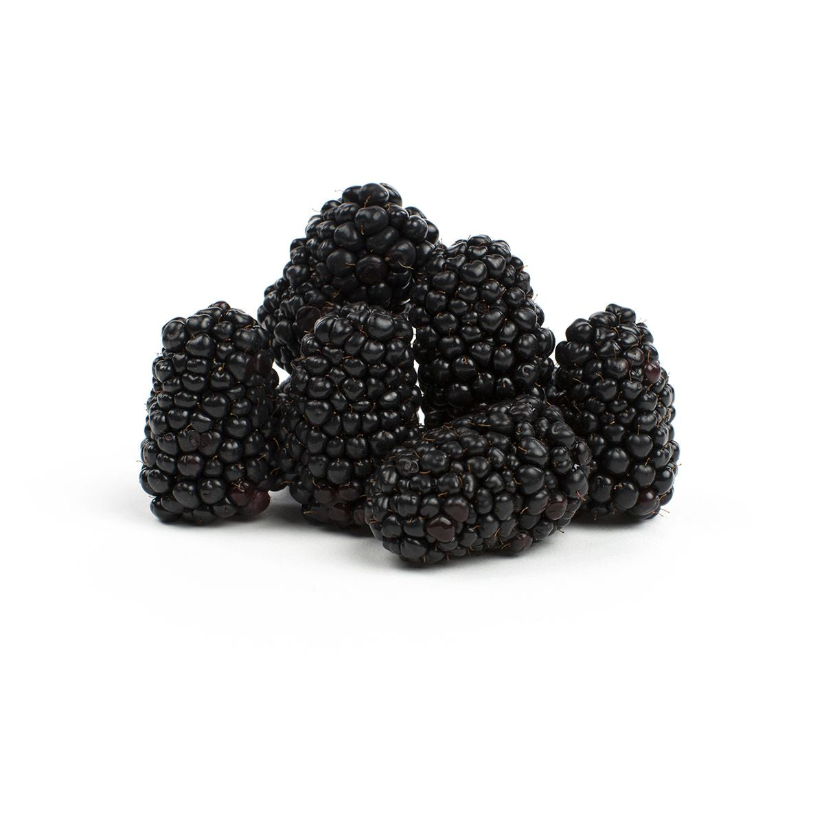 Wholesale BoxNCase Blackberries 6 OZ-12ct Case Bulk