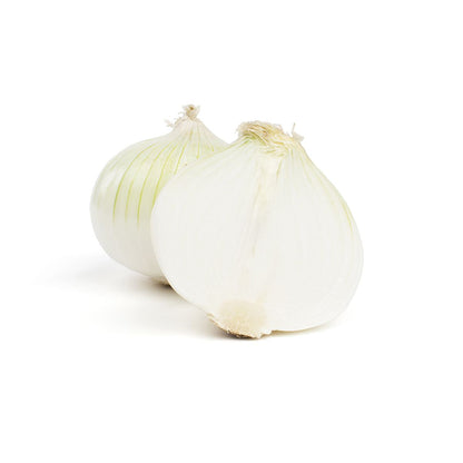 Wholesale BoxNCase Jumbo White Onions- Bulk