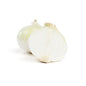 Wholesale BoxNCase Jumbo White Onions- Bulk