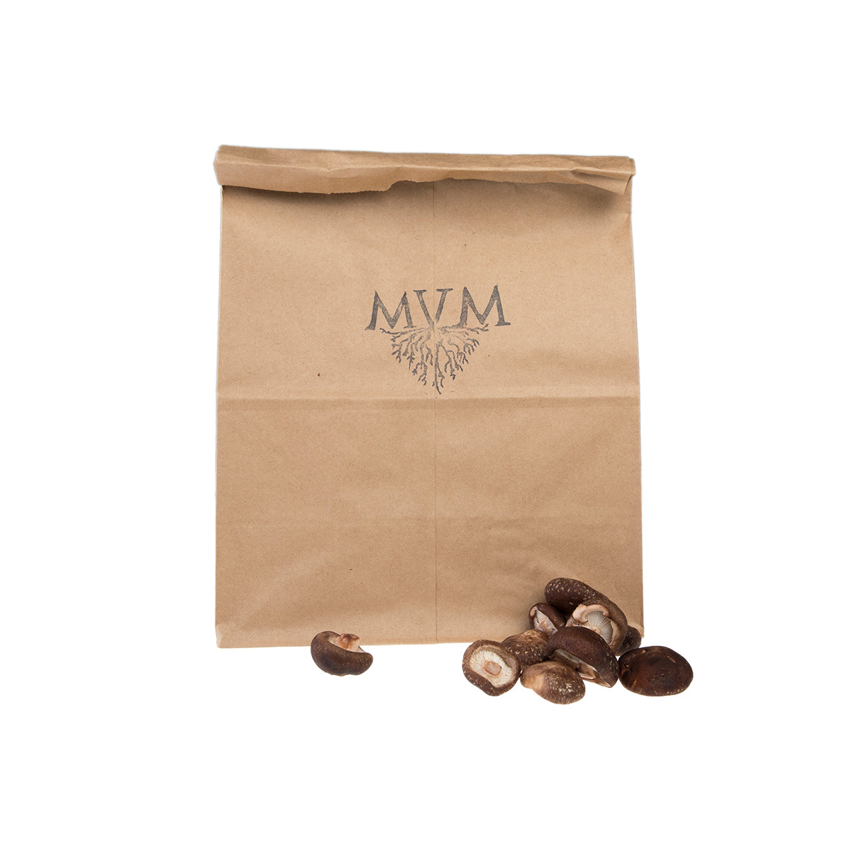 Wholesale Martha'S Vineyard Mycological Wild Harvest Shiitake Mushrooms- Bulk