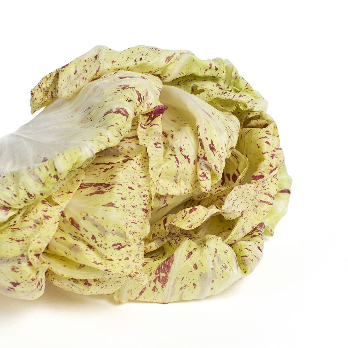 Wholesale J. Marchini Farms California Castelfranco Radicchio-12 Ct Case Bulk