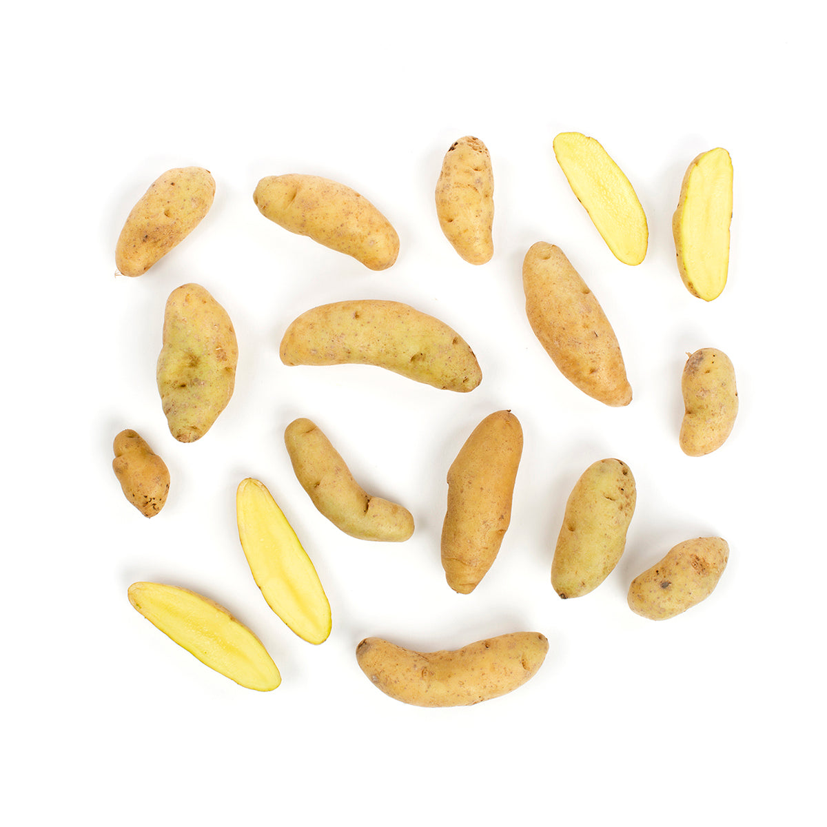 Wholesale Norwich Meadows Farm Organic La Ratte Fingerling Potatoes-10 LB Bulk