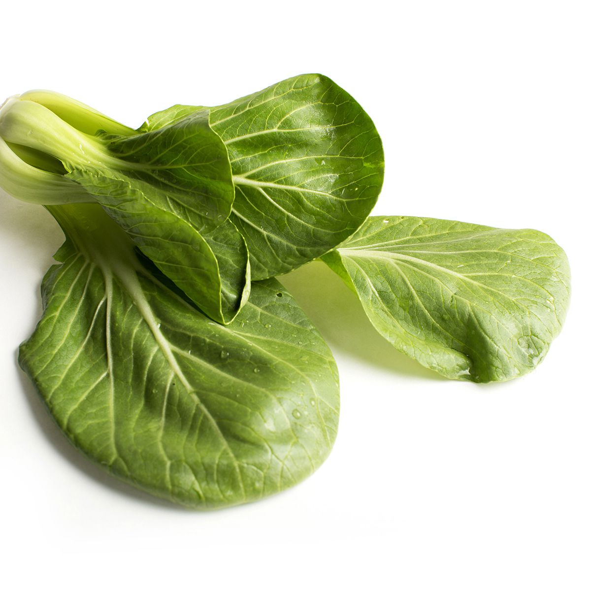 Wholesale BoxNCase Baby Bok Choy- Bulk