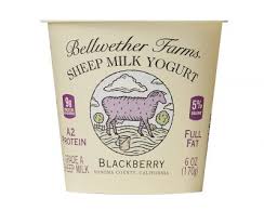 Bellwether Farms Yogurt Sheep Milk Blackberry 6oz 12ct