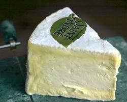 Wholesale Savencia Fromage & Dairy St Andre 45 LB- Bulk