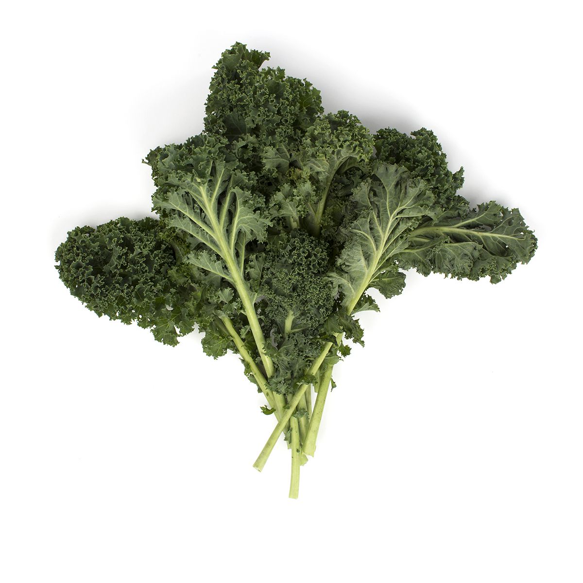 Wholesale BoxNCase Organic Green Kale- Bulk