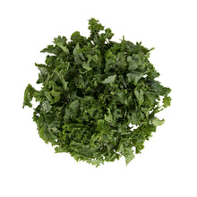 Wholesale BoxNCase Chopped Green Kale- Bulk