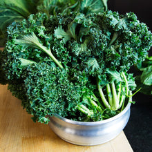 Wholesale BoxNCase Organic Green Kale- Bulk