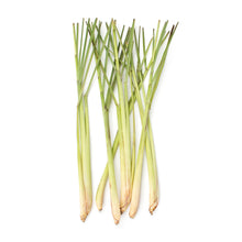 Wholesale BoxNCase Organic Lemongrass- Bulk