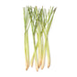 Wholesale BoxNCase Organic Lemongrass- Bulk
