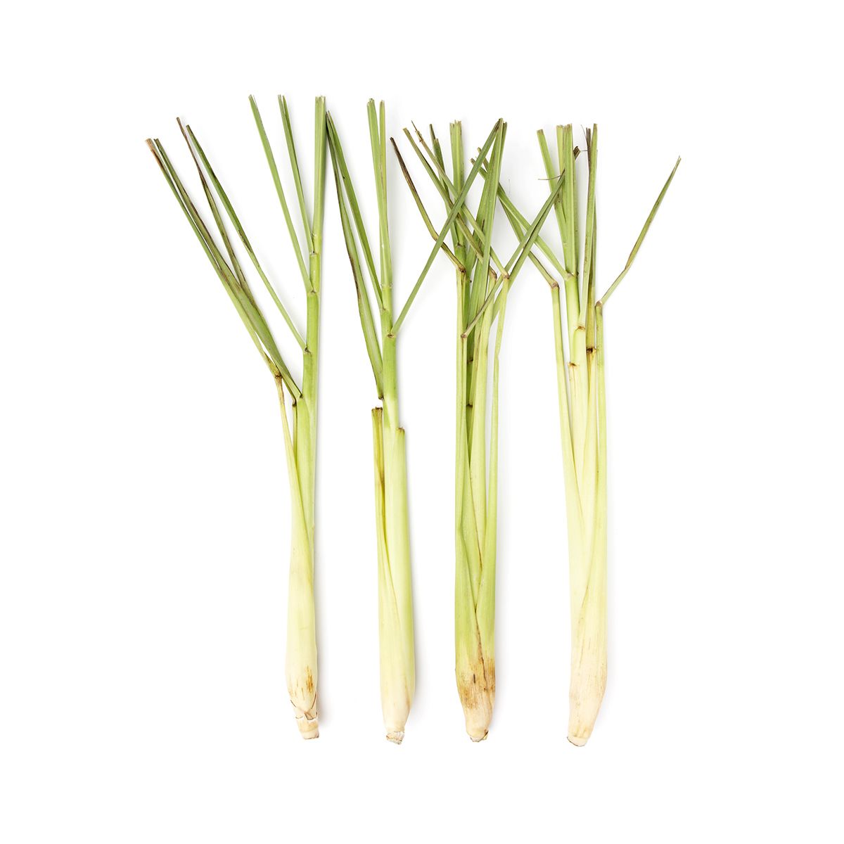 BoxNCase Lemongrass