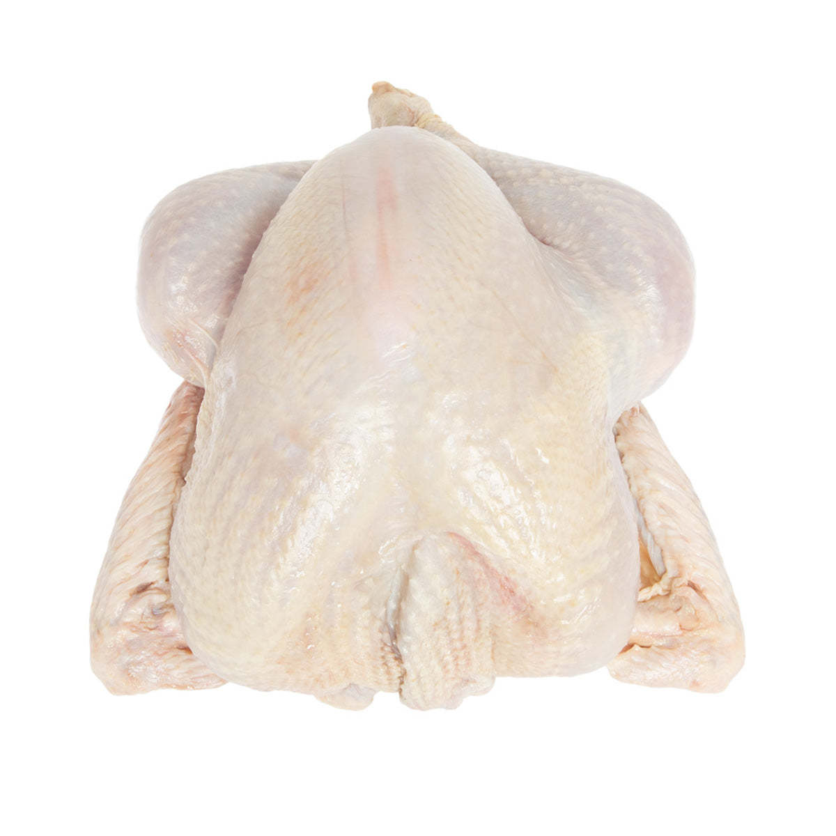 Wholesale Koch'S Turkey ABF Organic Whole Turkey 20-24 LB- Bulk