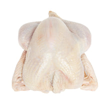 Wholesale Koch'S Turkey ABF Whole Turkey 20-24 LB- Bulk