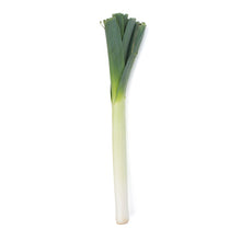 Wholesale BoxNCase Leeks- Bulk