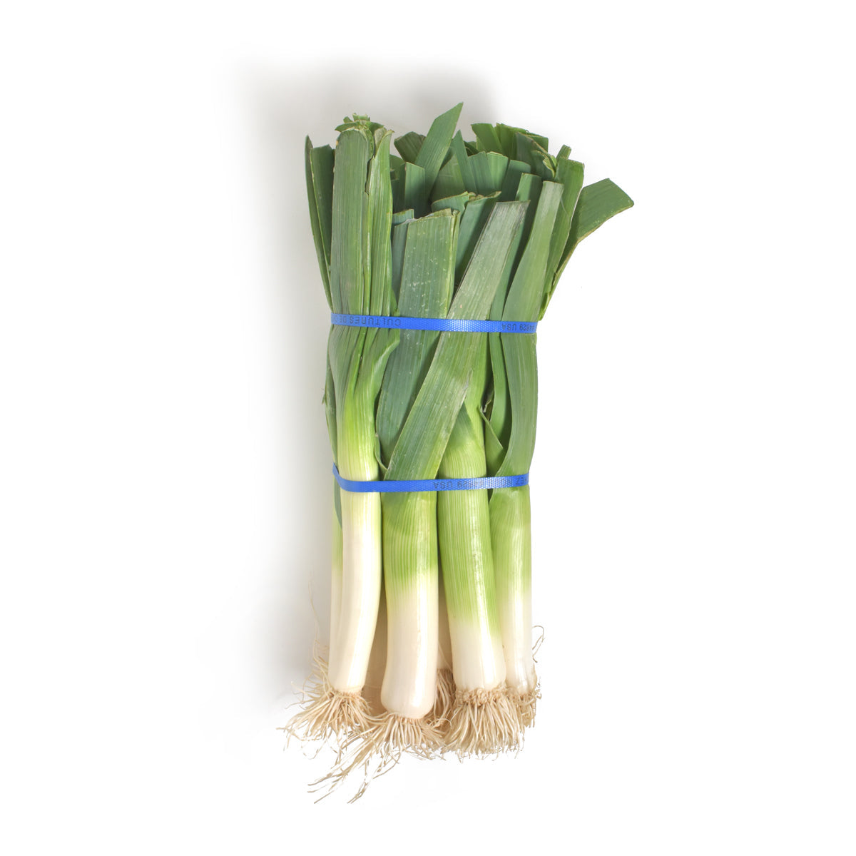 Wholesale BoxNCase Canadian Long Leeks-12 CT Bulk