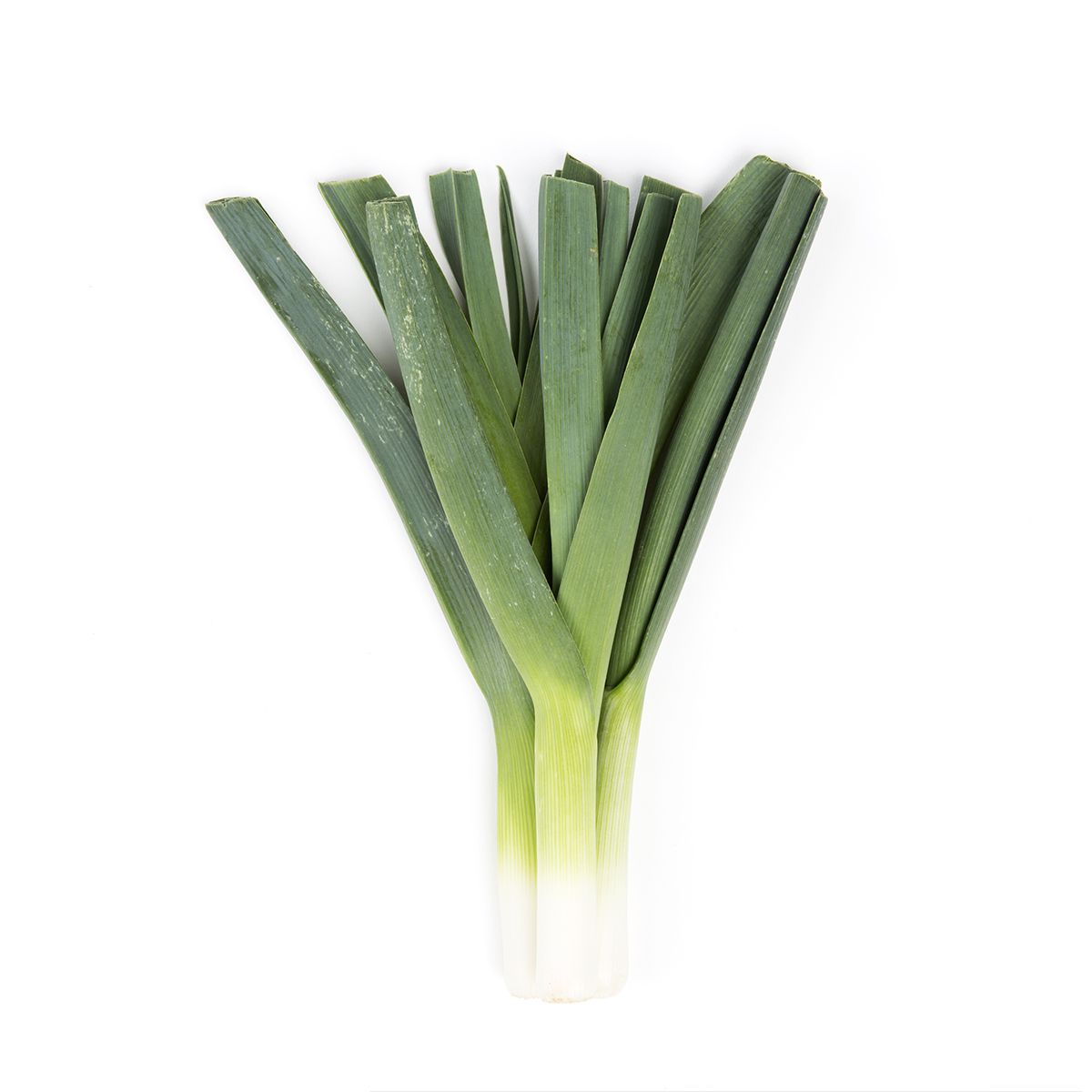 Wholesale Babe Farms Baby Leeks- Bulk
