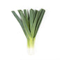 Wholesale Babe Farms Baby Leeks- Bulk