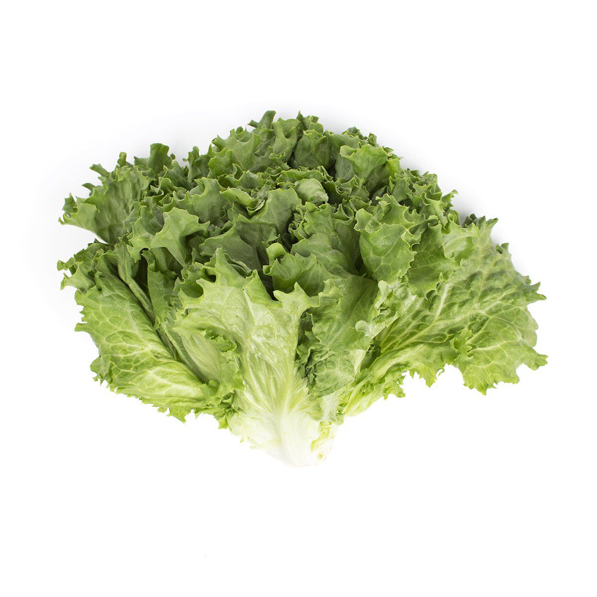 Wholesale BoxNCase Green Leaf Lettuce-1/2 CS Bulk