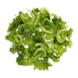 Wholesale Little Leaf Farms Baby Green Lettuce Mix- Bulk