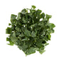 Wholesale BoxNCase Chopped Collard Greens 3 LB- Bulk