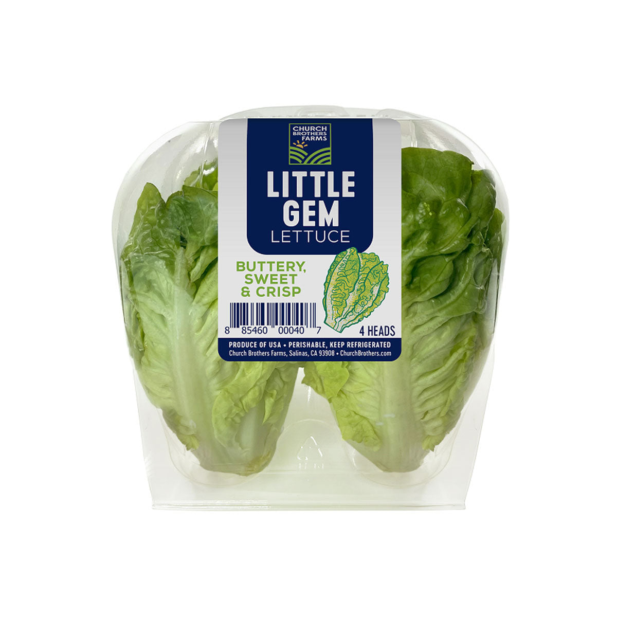 Wholesale Church Brothers Farms Little Gem Lettuce 4 CT-8ct Case Bulk