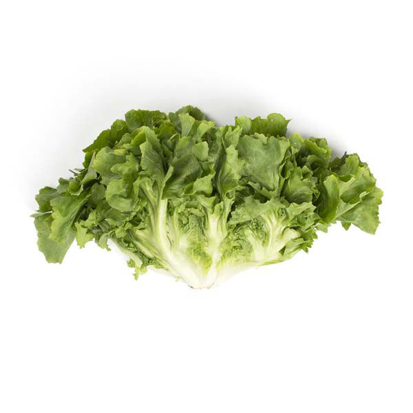 Wholesale BoxNCase Escarole-18 LB Bulk
