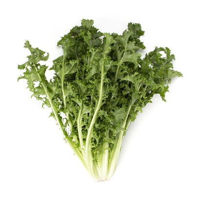 Wholesale BoxNCase Chicory Bushel- Bulk