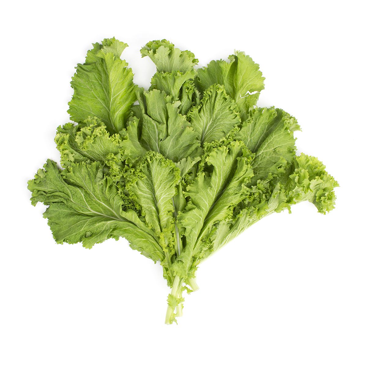 Wholesale BoxNCase Mustard Greens- Bulk