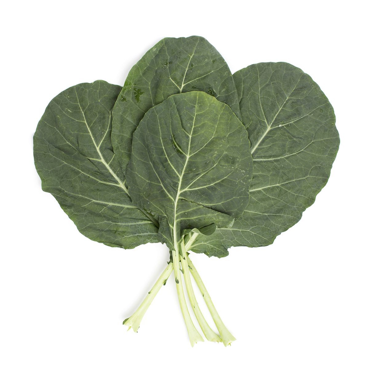 Wholesale BoxNCase Collard Greens-12 CT Bulk