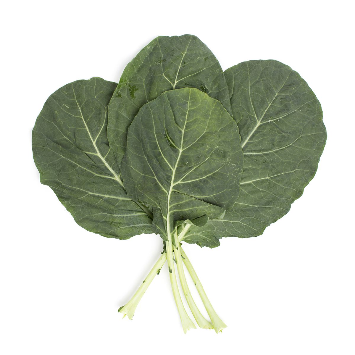 Wholesale BoxNCase Collard Greens- Bulk