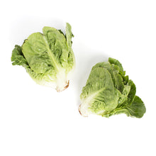 Wholesale Lancaster Farm Fresh Organic Little Gem Lettuce- Bulk