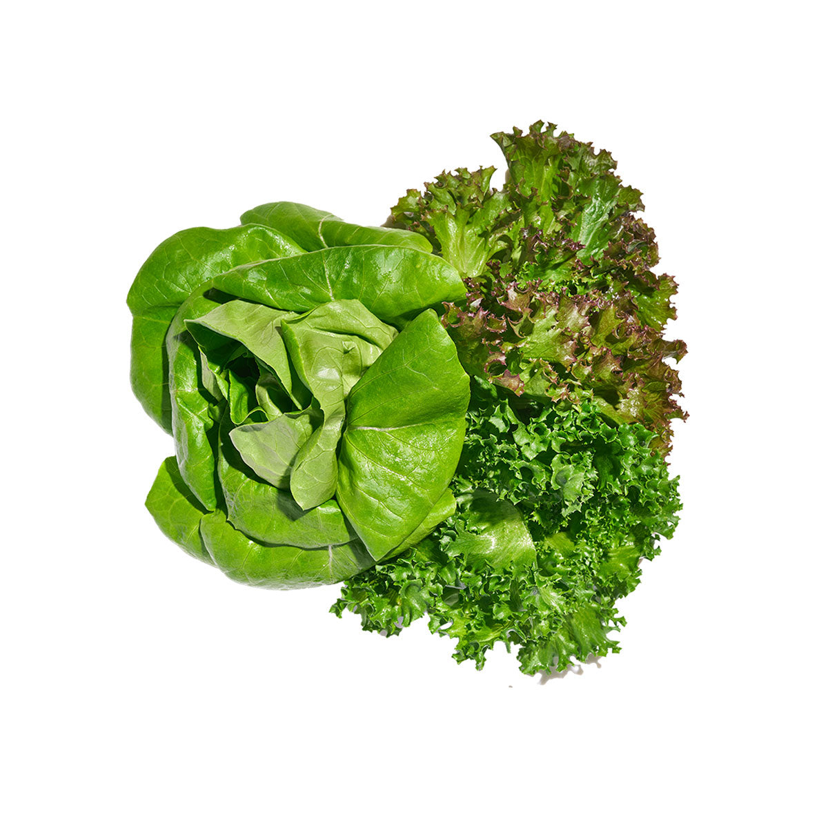 Wholesale Gotham Greens Gourmet Spring Mix- Bulk