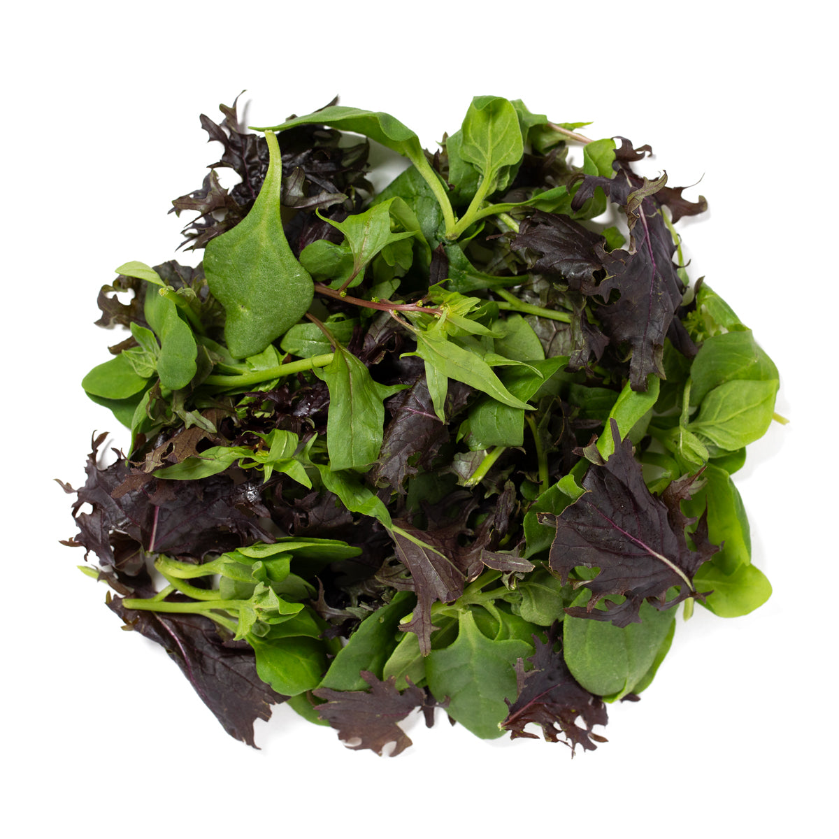 Wholesale Girl & Dug Farm KinderGreens® Agnes KinderMix- Bulk