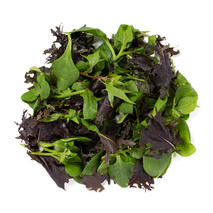 Wholesale Girl & Dug Farm KinderGreens® Agnes KinderMix- Bulk