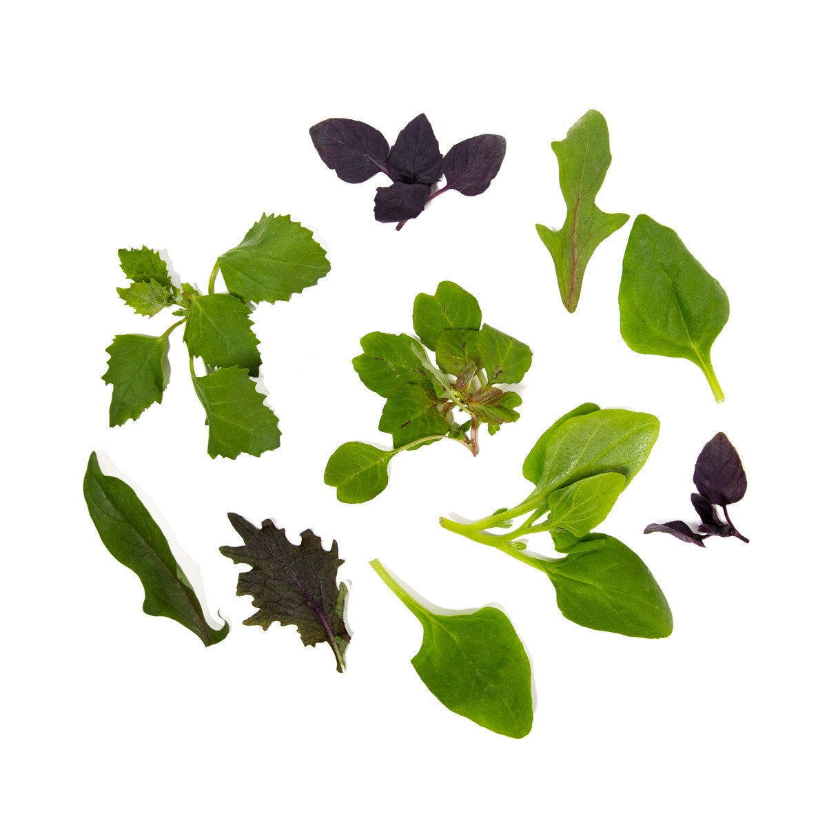 Wholesale Girl & Dug Farm KinderGreens® Agnes KinderMix- Bulk