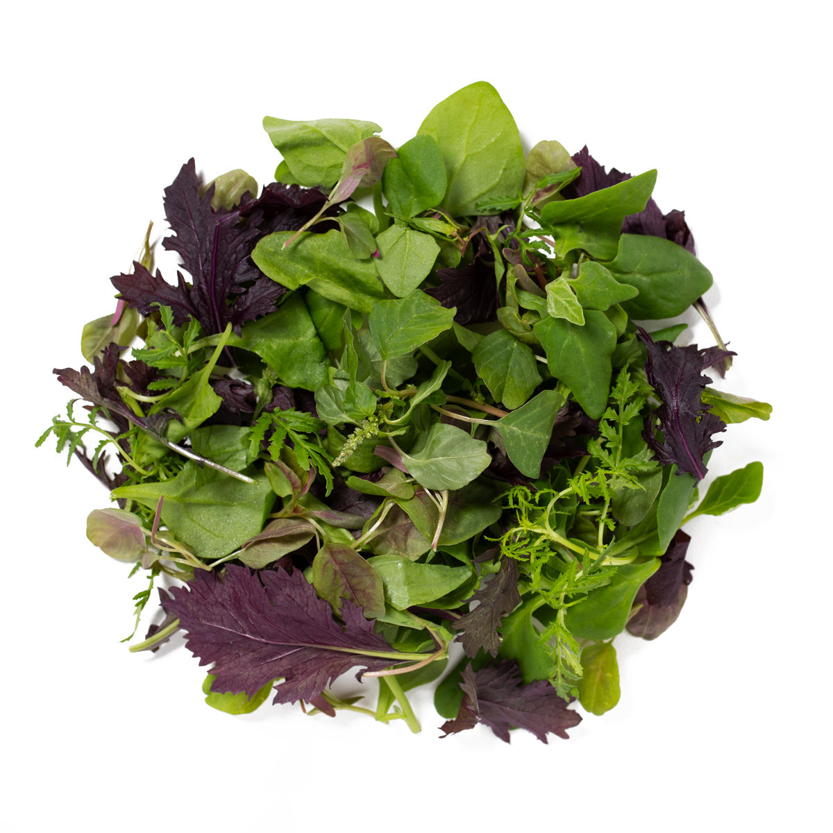 Wholesale Girl & Dug Farm KinderGreens® Ella KinderMix- Bulk