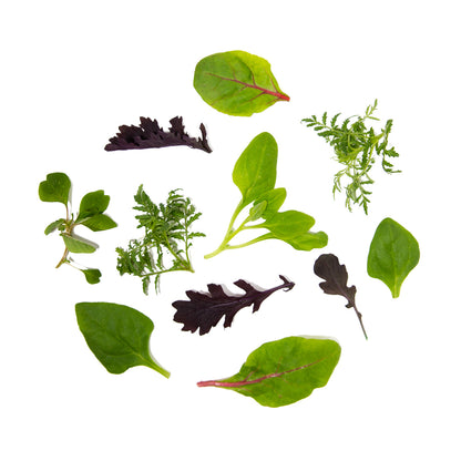 Wholesale Girl & Dug Farm KinderGreens® Ella KinderMix- Bulk