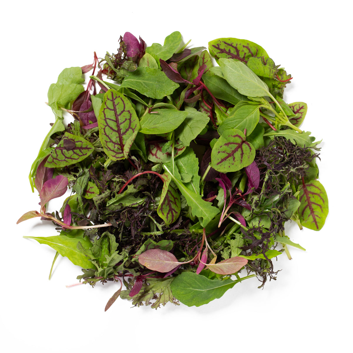 Wholesale Girl & Dug Farm KinderGreens® Livi KinderMix- Bulk