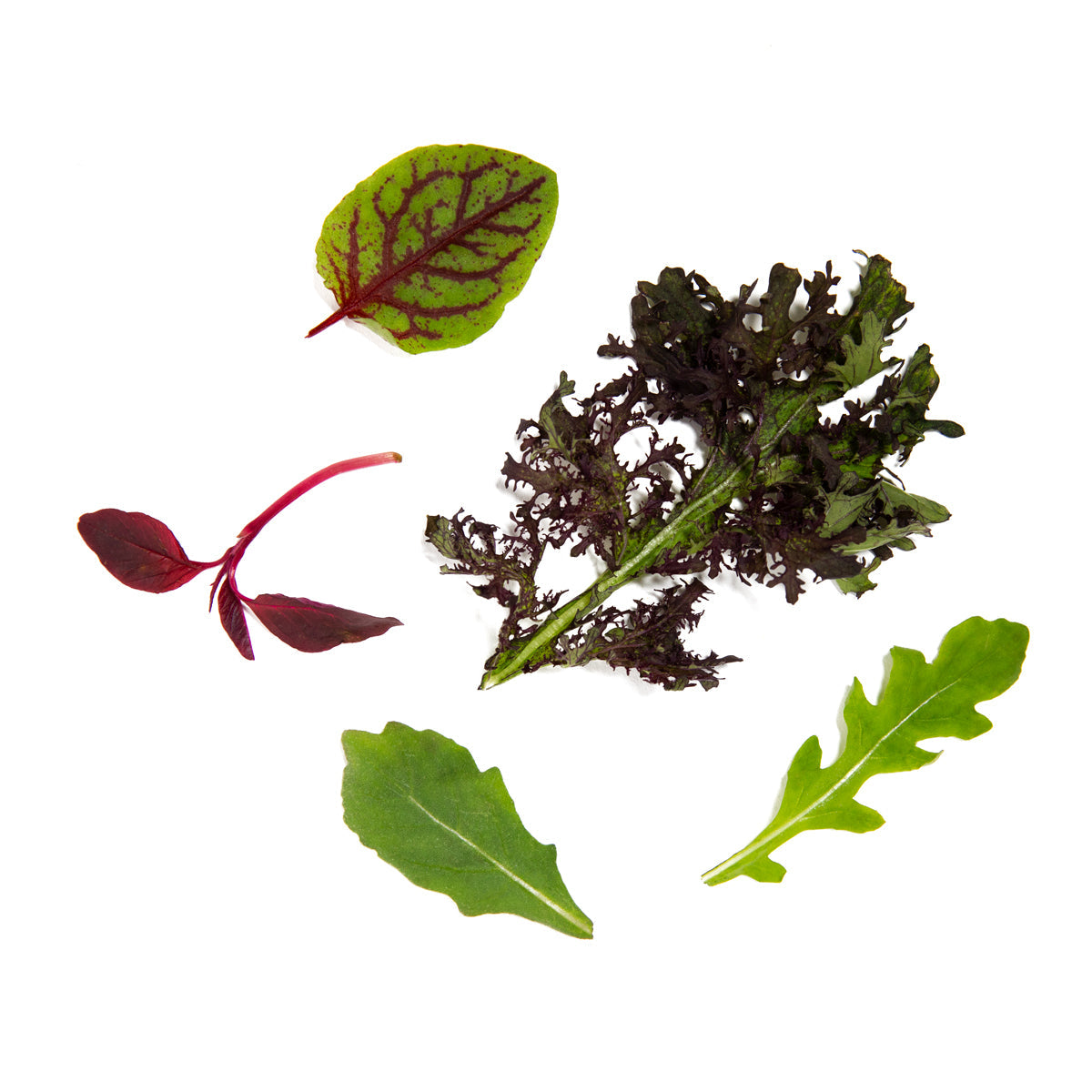 Wholesale Girl & Dug Farm KinderGreens® Livi KinderMix- Bulk