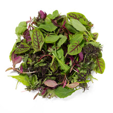 Girl & Dug Farm KinderGreens® Livi  KinderMix